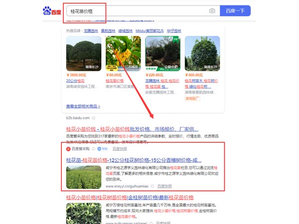 指定词包-4688美高梅集团